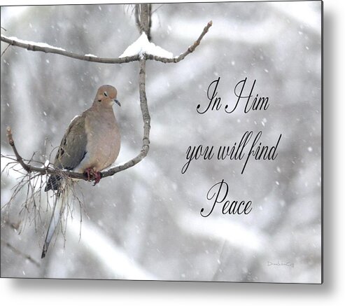 Dove Metal Print featuring the photograph In Him You Will Find Peace by Diane Lindon Coy