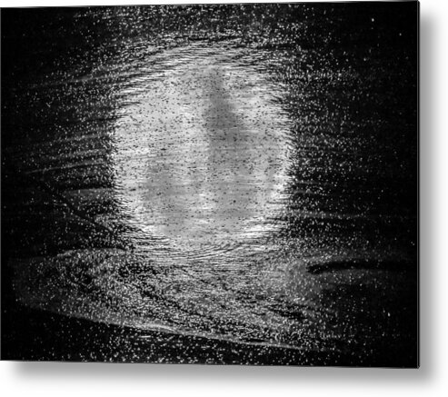 Moon Metal Print featuring the photograph In Moonlight B W by Pamela Newcomb