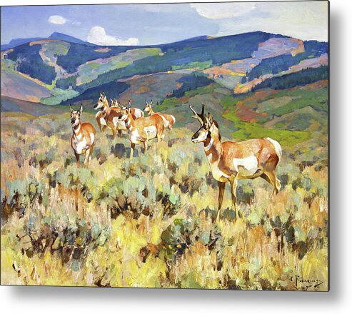 Antelope Metal Print featuring the painting In the Foothills - Antelope by Rungius Carl