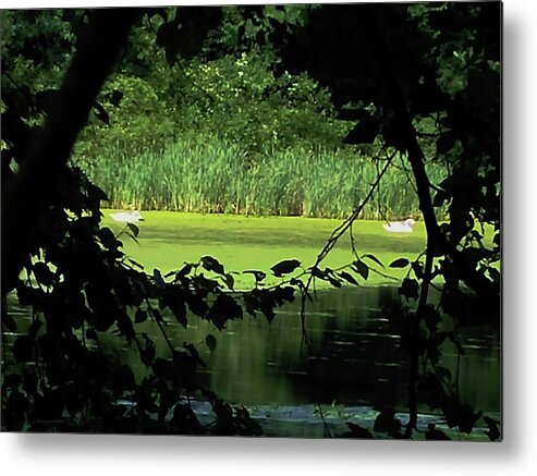 Pond Metal Print featuring the digital art In the Light of Day by Vincent Green
