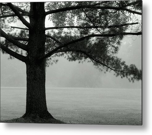 Summertime Metal Print featuring the photograph Into the Grey Wide Open by Wild Thing