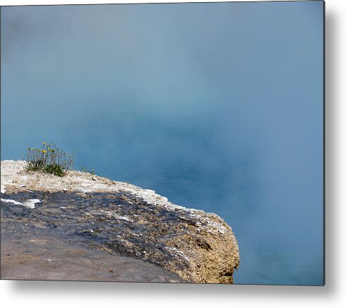 Yellowstone Metal Print featuring the photograph Into the Mist by Laurel Powell