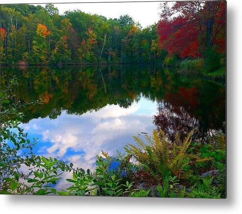 Autumn Metal Print featuring the photograph Introvert by Dani McEvoy