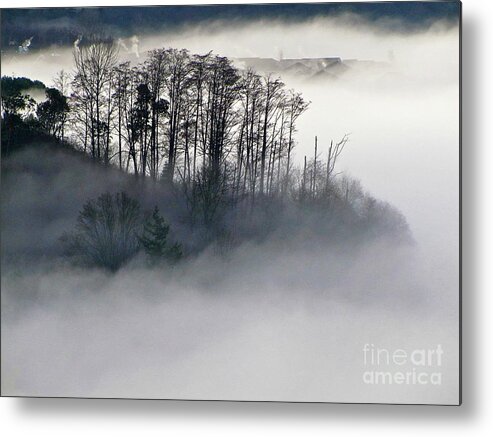 Photography Metal Print featuring the photograph Island in the Morning Mist by Sean Griffin