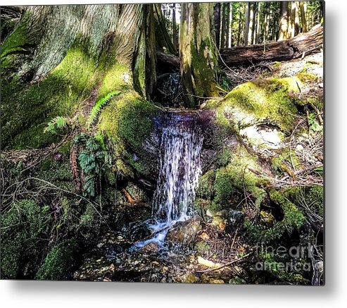 Orcas Island Metal Print featuring the photograph Island Stream by William Wyckoff