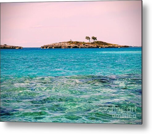 Island Metal Print featuring the photograph Island Tree Couple by Lainie Wrightson