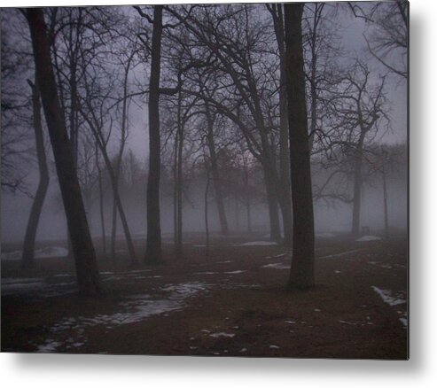 January Metal Print featuring the photograph January fog 2 by Anita Burgermeister
