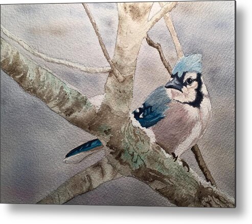Blue Jay Metal Print featuring the painting Cold Winter's Jay by Sonja Jones