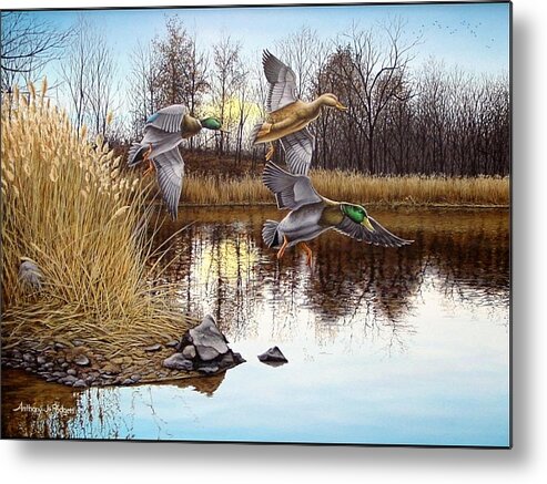 Duck Metal Print featuring the painting Journey's End by Anthony J Padgett
