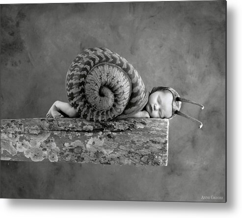 Black And White Metal Print featuring the photograph Julia Snail by Anne Geddes