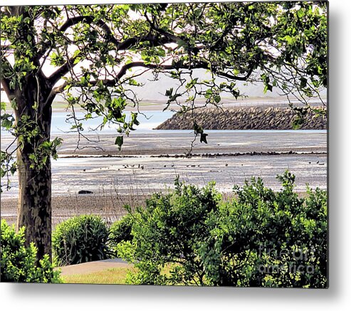Low Tide Metal Print featuring the photograph June Low Tide by Janice Drew