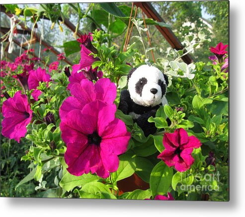 Baby Panda Metal Print featuring the photograph Just hanging in there by Ausra Huntington nee Paulauskaite