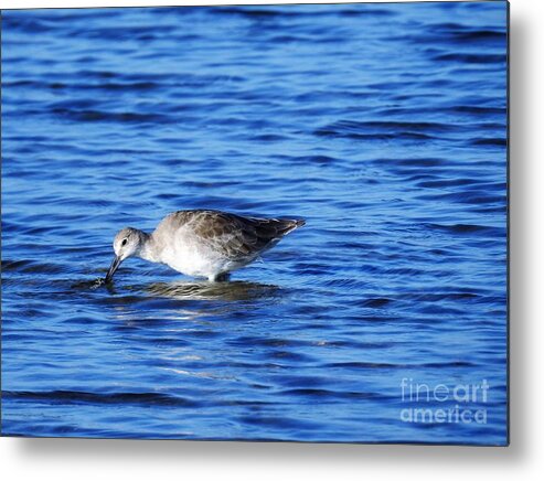 Coastal Metal Print featuring the photograph Just One More by Jan Gelders