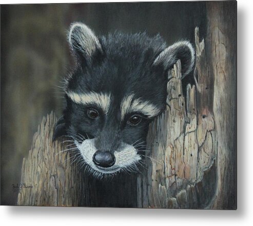 Raccoon Metal Print featuring the painting Kit...The baby raccoon by Bob Williams