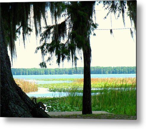 Lake Arbuckle Metal Print featuring the photograph Lake Arbuckle by Lindsey Floyd