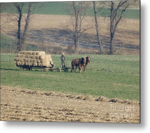 Amish Metal Print featuring the photograph Late Harvest Farming by Christine Clark