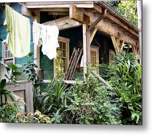 Animal Kingdom Metal Print featuring the photograph Laundry Day by Nora Martinez