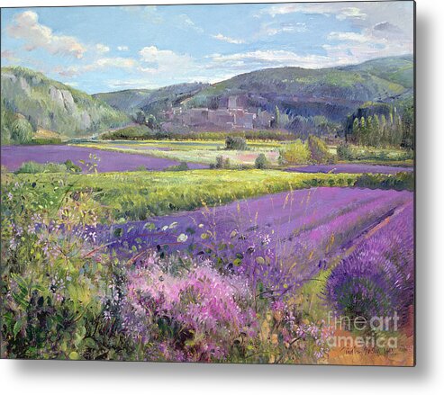 Field; South Of France; French Landscape; Hills; Hill; Landscape; Flower; Flowers Metal Print featuring the painting Lavender Fields in Old Provence by Timothy Easton