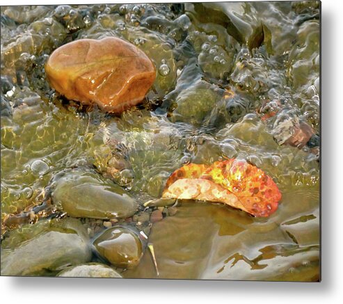 Rock Metal Print featuring the photograph Leaf, Rock Leaf by Azthet Photography