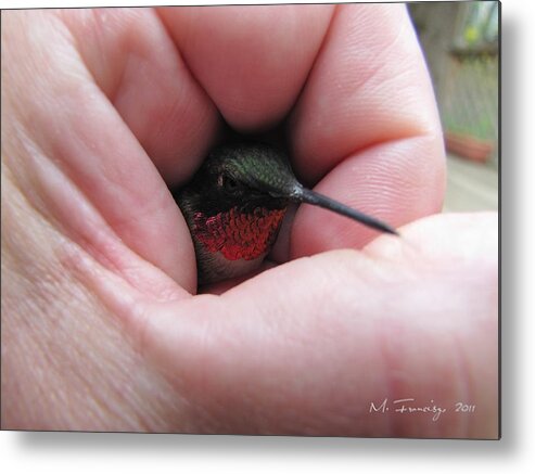 Humming-bird Metal Print featuring the photograph Comforting Hand by Maciek Froncisz