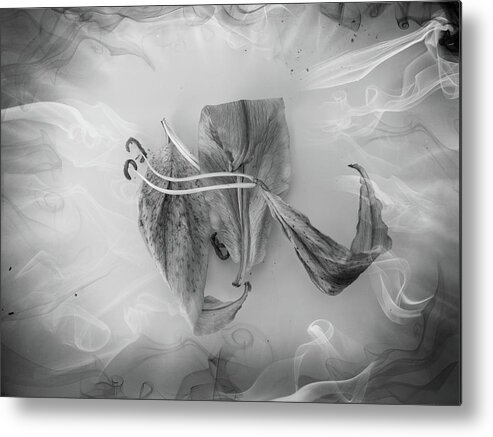 Lily Metal Print featuring the photograph Lily in Smoke by Hugh Smith