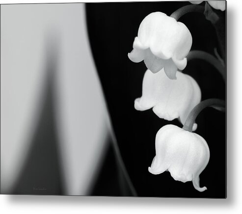 Lily Of The Valley Metal Print featuring the photograph Lily of The Valley Abstract by Wim Lanclus