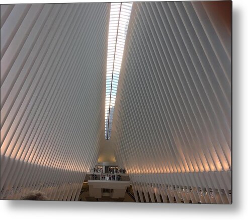 Nyc Metal Print featuring the photograph Lines by Val Oconnor