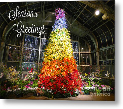 Christmas Metal Print featuring the photograph Living Color Season's Greetings by Jean Wright
