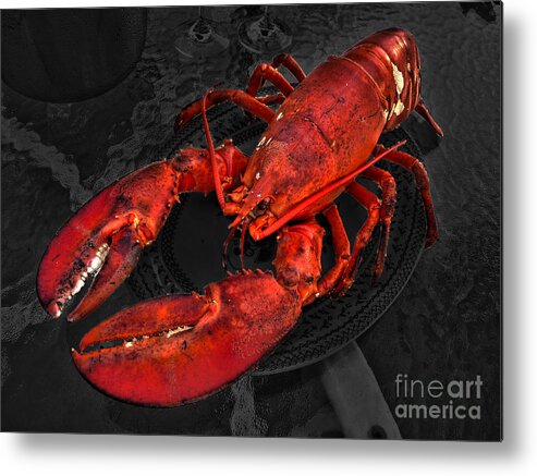 Lobster Metal Print featuring the photograph Lobstah by William Fields