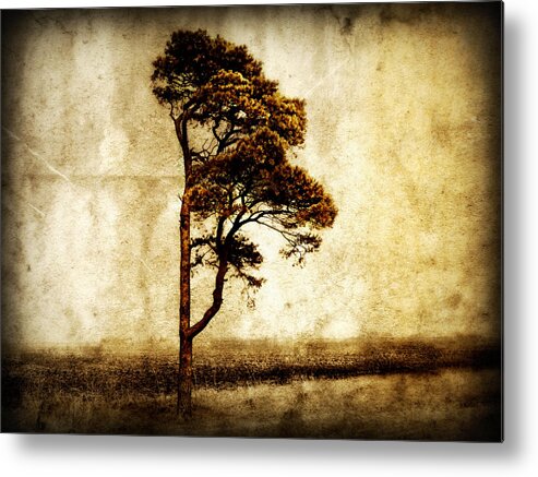 Tree Metal Print featuring the photograph Lone Tree by Julie Hamilton