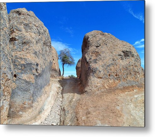 New Mexico Metal Print featuring the photograph Lone Tree by Christopher Brown