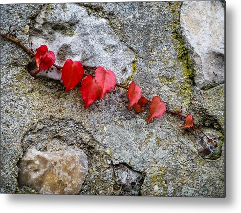 France Metal Print featuring the photograph Love Grows by Pamela Newcomb