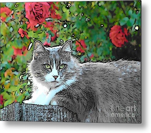 Cat Metal Print featuring the photograph Lu with roses by Lisa Dunn