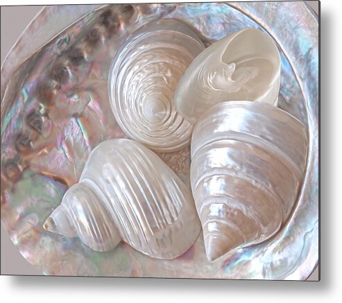 Seashell Metal Print featuring the photograph Lustrous Shells by Gill Billington