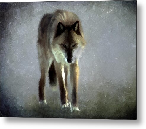 Wolf Metal Print featuring the photograph Majestic Wolf by David Dehner