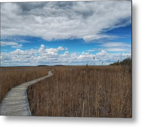 Marsh Metal Print featuring the photograph Marsh Walk 3 by Mary Capriole