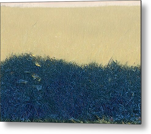 Photograph Metal Print featuring the digital art Meadow by Unhinged Artistry