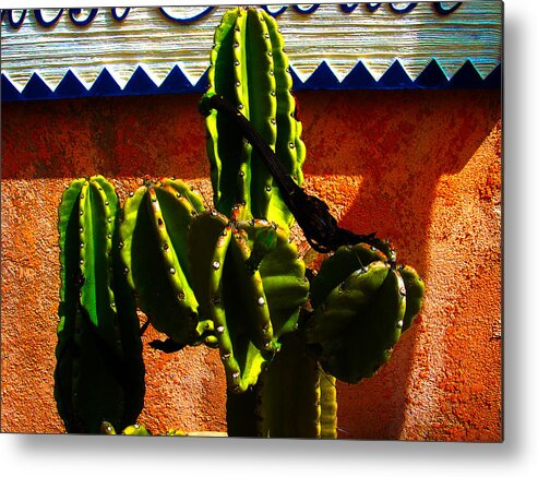 Mexico Metal Print featuring the photograph Mexican Style by Susanne Van Hulst