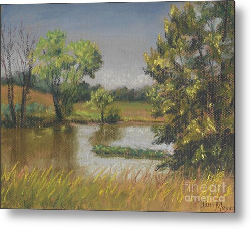 Ohio Landscape Painting Of A Pond Metal Print featuring the painting Pond Landscape Painting by Terri Meyer