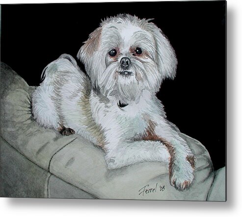 Dog Metal Print featuring the painting Miki Dog by Ferrel Cordle