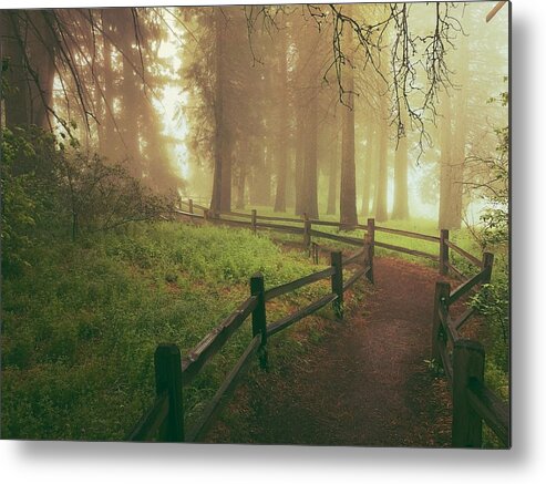 Poppy Metal Print featuring the digital art Misty Trail by Kevyn Bashore