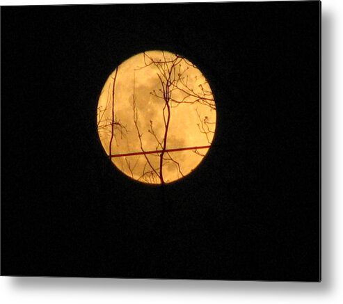 Moon Metal Print featuring the photograph Moon by Creative Solutions RipdNTorn