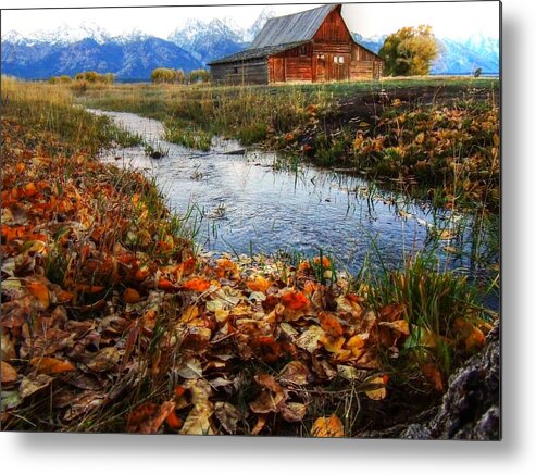 Mormon Row Metal Print featuring the photograph Mormon Row by Charlotte Schafer