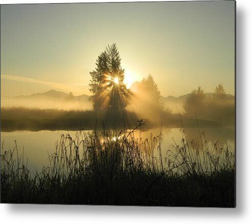 Sunrise Metal Print featuring the photograph Morning Bliss by Gallery Of Hope 