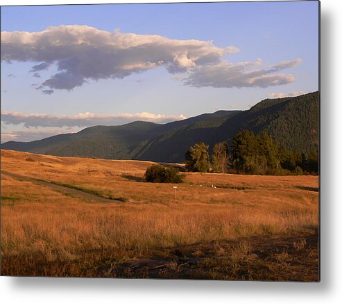 Morrissey Metal Print featuring the photograph Morrissey Range Land Grand Forks BC by Barbara St Jean