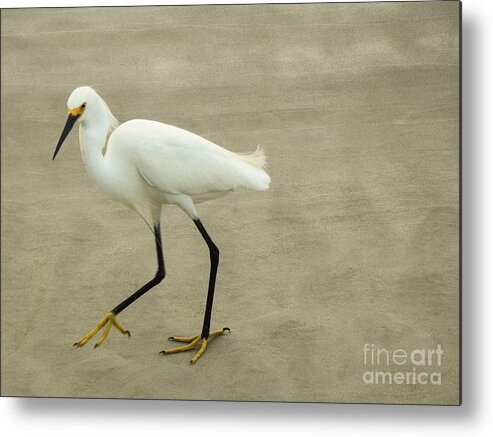 Snowy Egret Metal Print featuring the photograph My Yellow Shoes by Jan Gelders