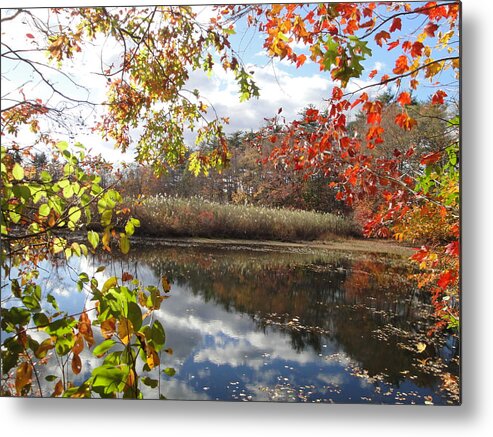 Autumn Landscape Metal Print featuring the photograph Nature's Expression-18 by Leonard Holland