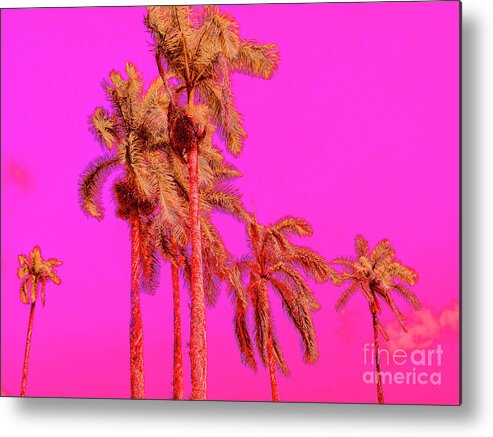 Pop Art Metal Print featuring the photograph Neon Tropics by Onedayoneimage Photography