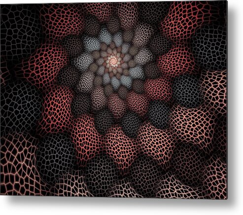 Fractal Metal Print featuring the digital art Netted Petals by Amorina Ashton
