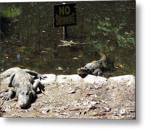 Water Metal Print featuring the photograph No Swimming by Julia Stubbe